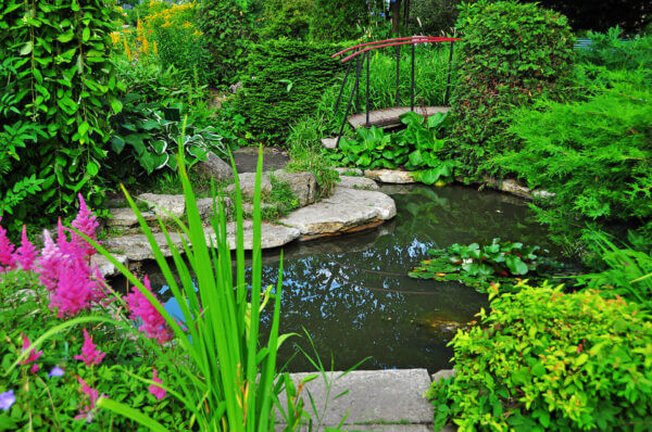Pond water care